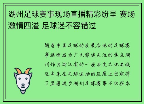 湖州足球赛事现场直播精彩纷呈 赛场激情四溢 足球迷不容错过